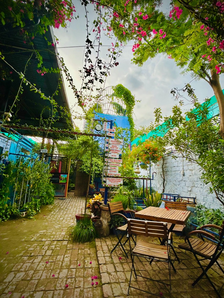 Vibrant Bougainvillea Garden Pathway at Cafe 1010 Jodhpur