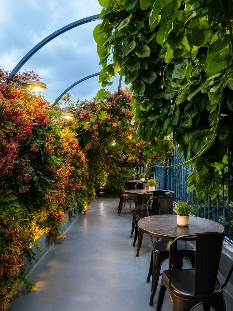 Maadi Roof Top - Outdoor Terrace Cafe Jodhpur